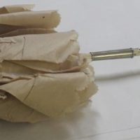 C19th Parasol